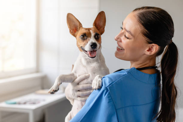 Dog receiving vaccination