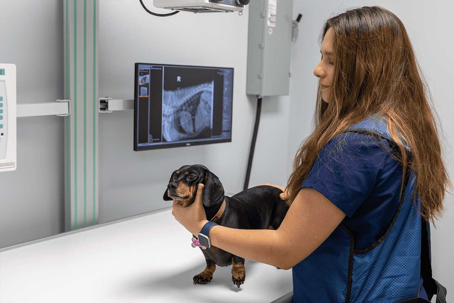 Veterinary diagnostics